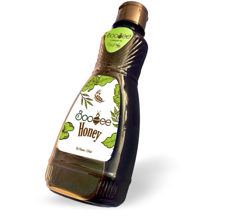 BooBee Honey 250ml Squeeze Bottle (100% Pure Natural Honey)