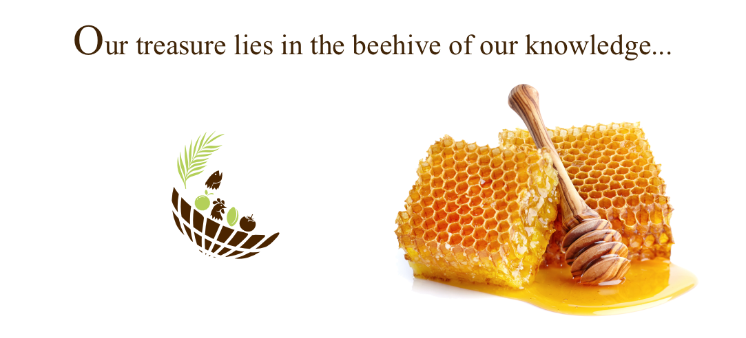 Golden Honeycomb & Beehive